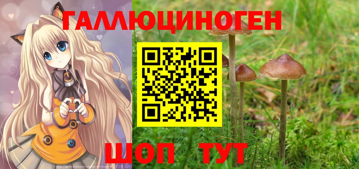 Галлюциногенные грибы прущие грибы Сарапул