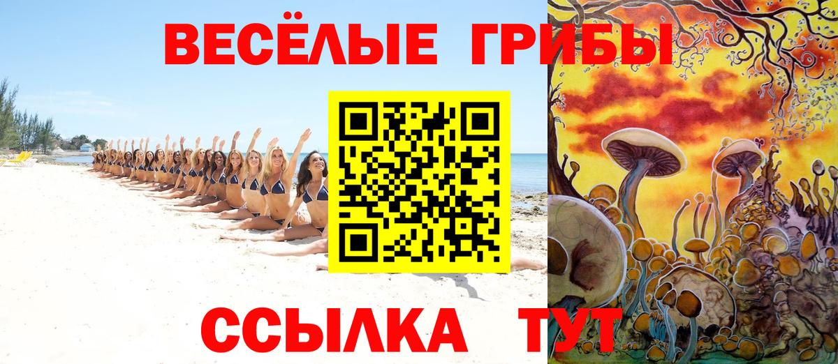 Сарапул  Галлюциногенные грибы Psilocybe  Вход с VPN 